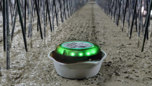 concremote for Precast