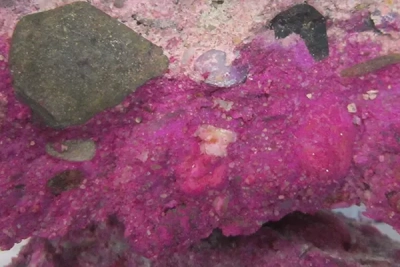 concrefy_concrete-03_600x400px_laboratory-400x267